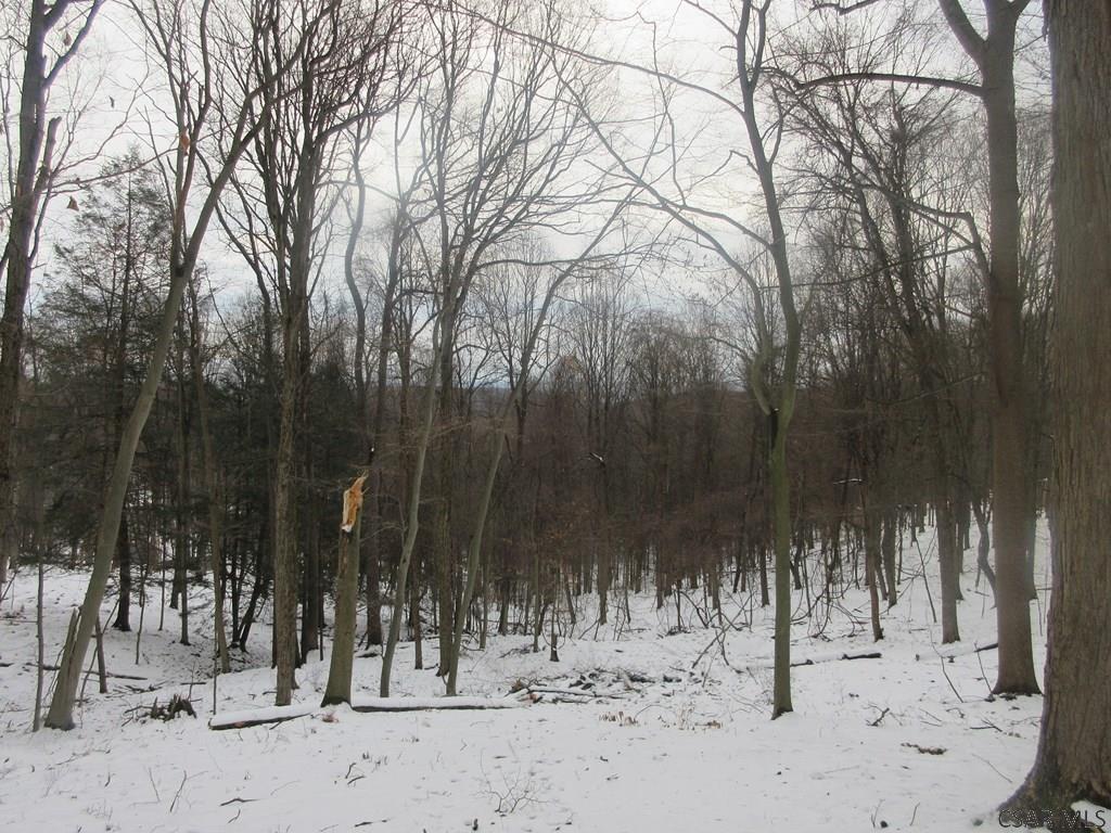 249 Morningside Flinton, PA 16640 - Photo 13 of 13