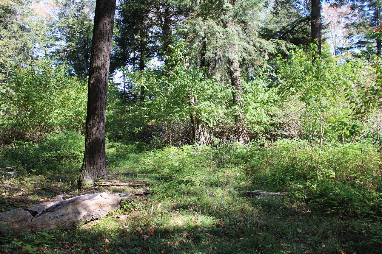 Lot 9 Stafford Point Road North Mercer, WI 54547 - Photo 13 of 28 Gallery Image 13