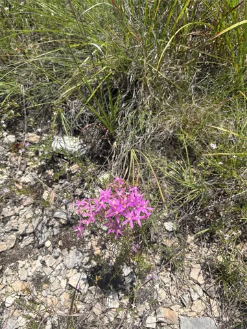 a view of outdoor space with mountain view