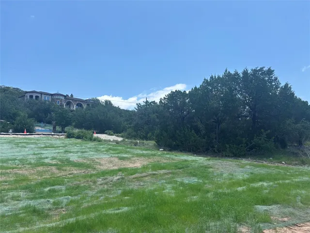 a view of a field with an tree