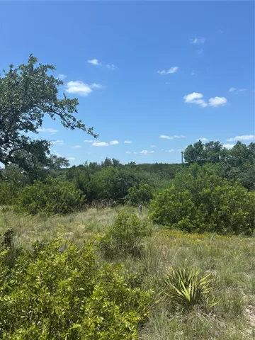 a view of a lake with a forest