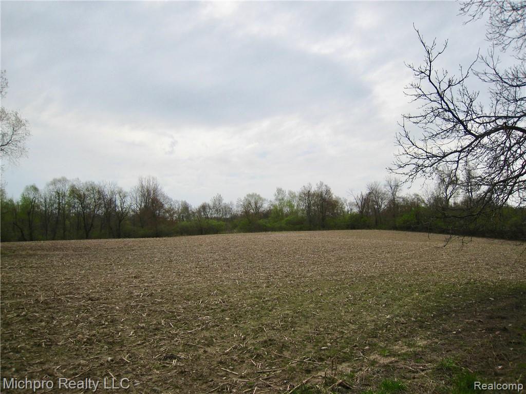 Parcel 2 South Lapeer Road Metamora, MI 48455 - Photo 12 of 17