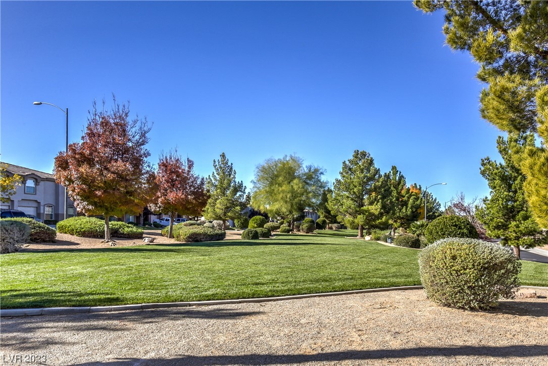 1633 Cave Spring Drive Henderson, NV 89014 - Photo 39 of 46