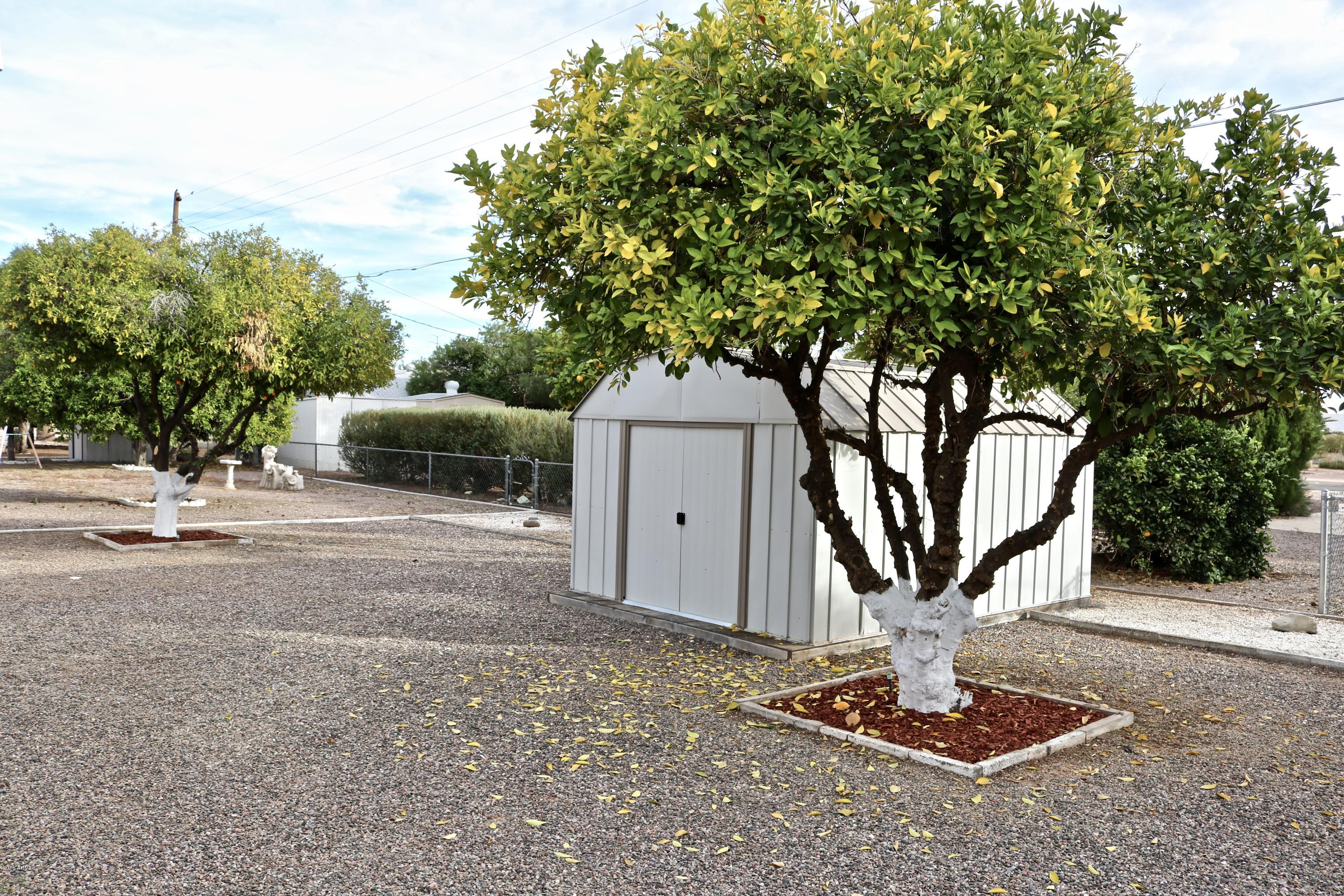 5309 Casper Road Mesa, AZ 85205 - Photo 31 of 33 Storage shed #2. 3 fruit trees