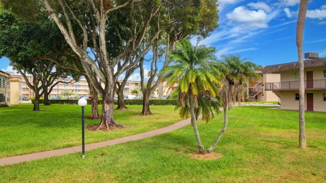 a view of a park with a tree