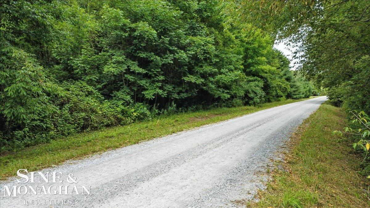 V/l Mayer Road Columbus, MI 48063 - Photo 3 of 21 50182407-f0cee83c-47a9-4516-86b8-61f48623d0aa.JPG