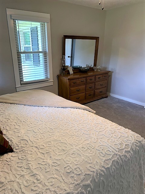 715 North Pleasant Street Decaturville, TN 38329 - Photo 17 of 26 Gallery Image 17