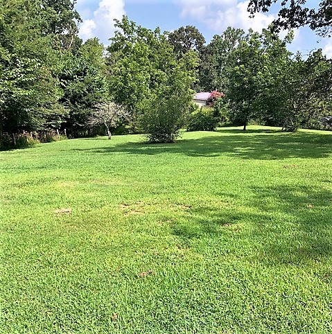 715 North Pleasant Street Decaturville, TN 38329 - Photo 3 of 26 Gallery Image 3