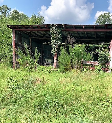 715 North Pleasant Street Decaturville, TN 38329 - Photo 26 of 26 Gallery Image 26