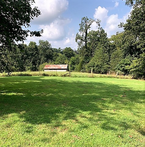 715 North Pleasant Street Decaturville, TN 38329 - Photo 4 of 26 Gallery Image 4