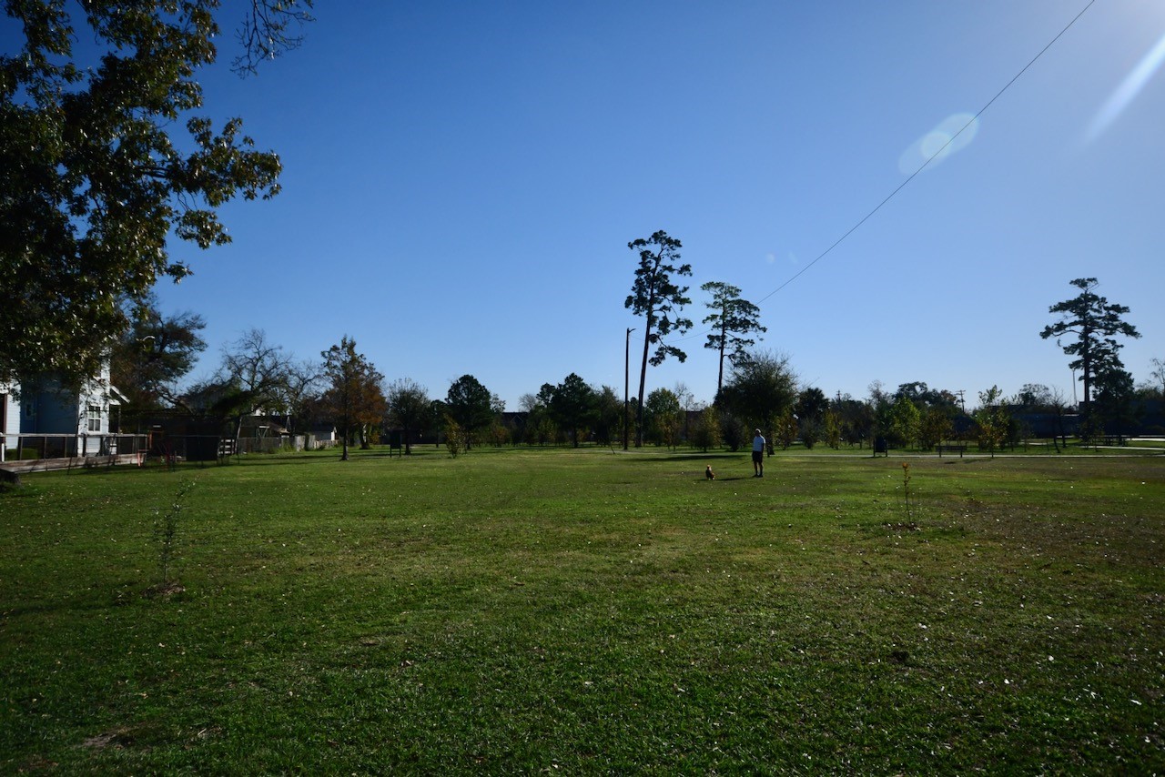1706 Redwing Bluff Drive Houston, TX 77009 - Photo 22 of 24 a view of a large trees with a big yard