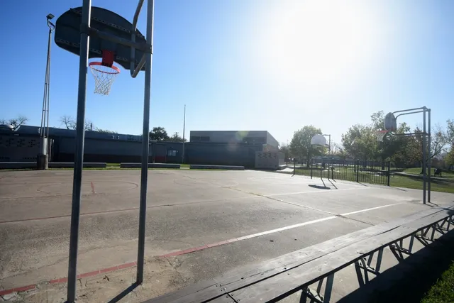 a view of a large trees with a big yard