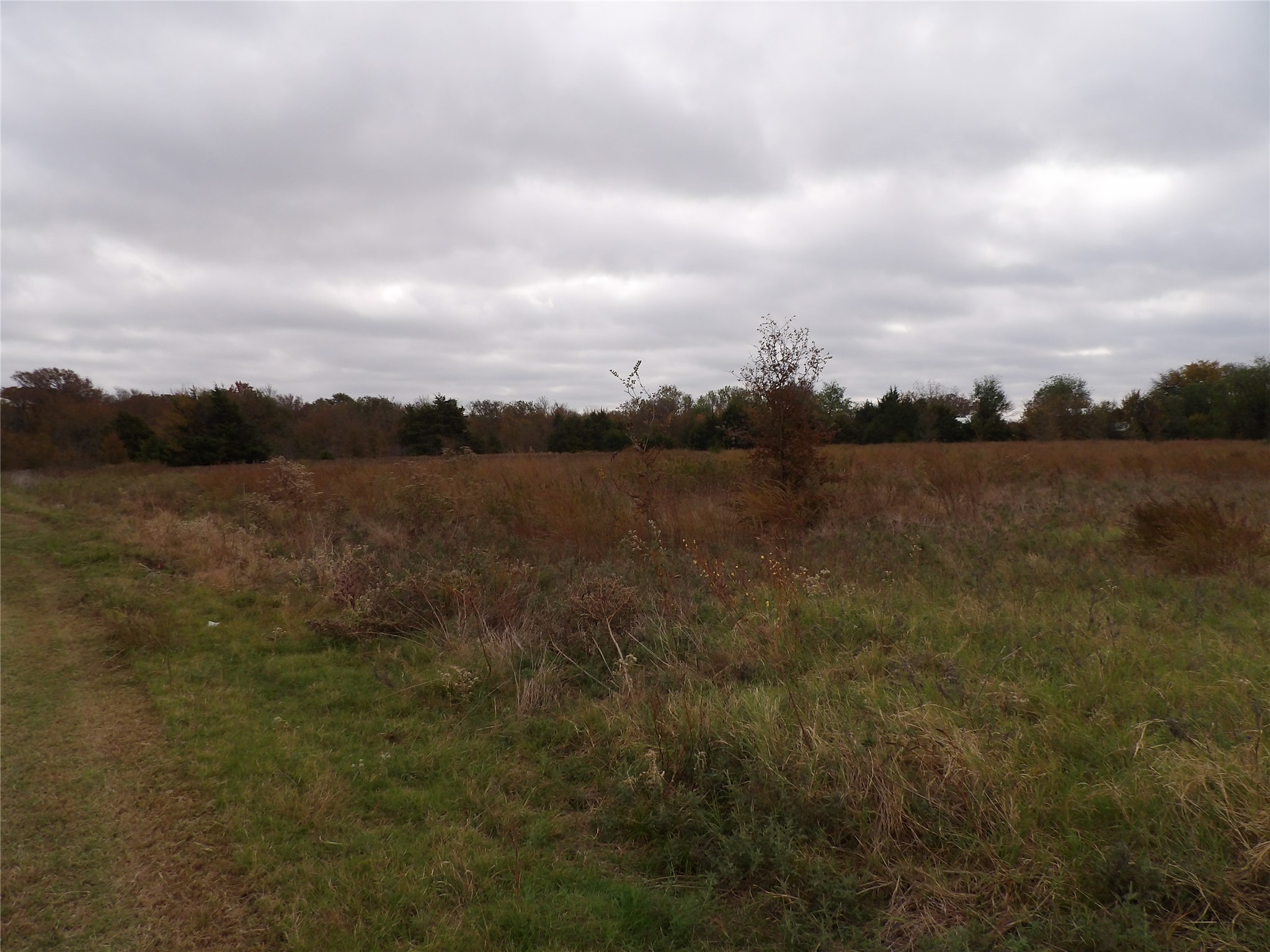 150 Rs County Road 1530 Point, TX 75472 - Photo 5 of 7 a view of lake