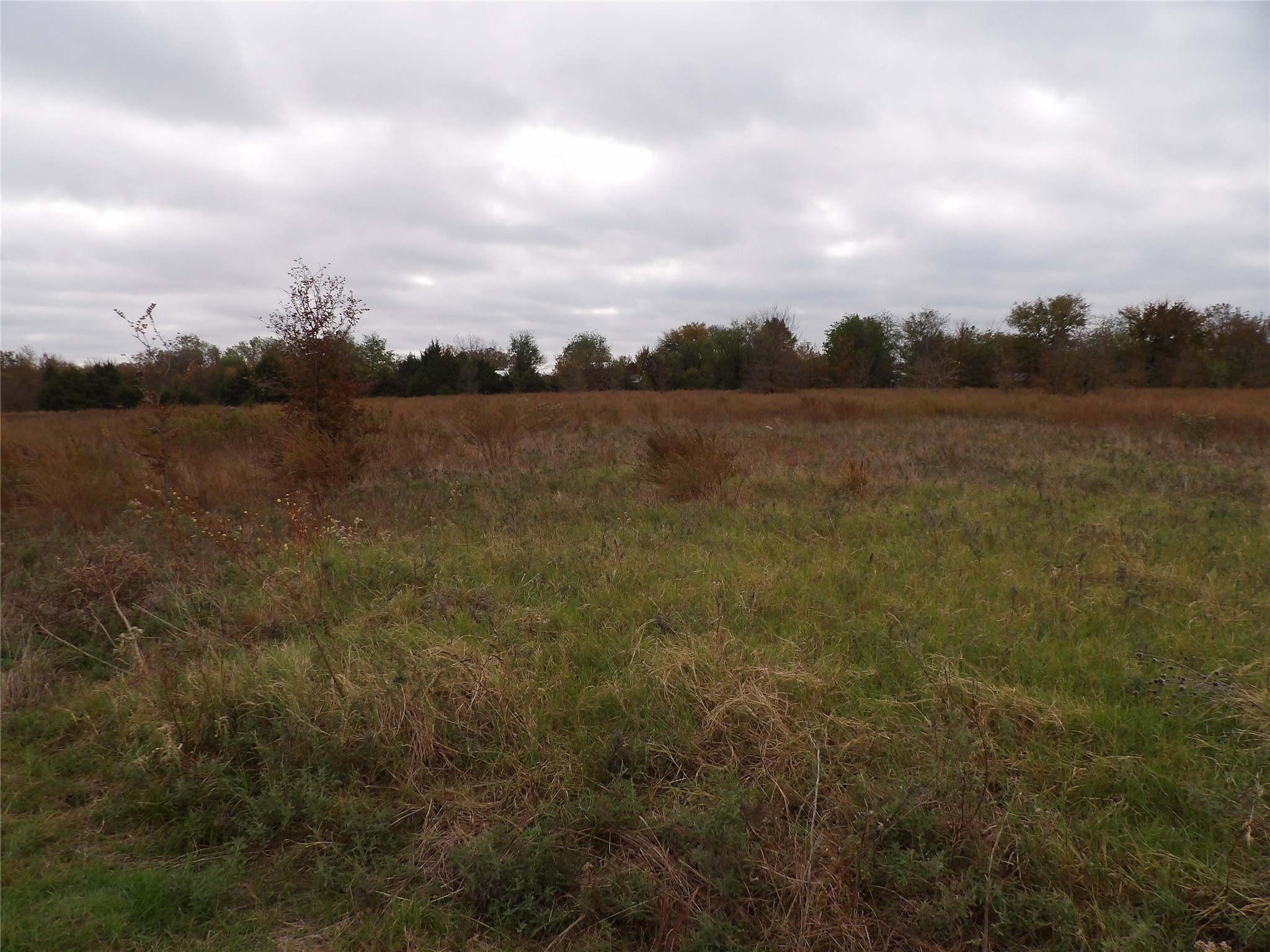 150 Rs County Road 1530 Point, TX 75472 - Photo 6 of 7 a view of lake with green space