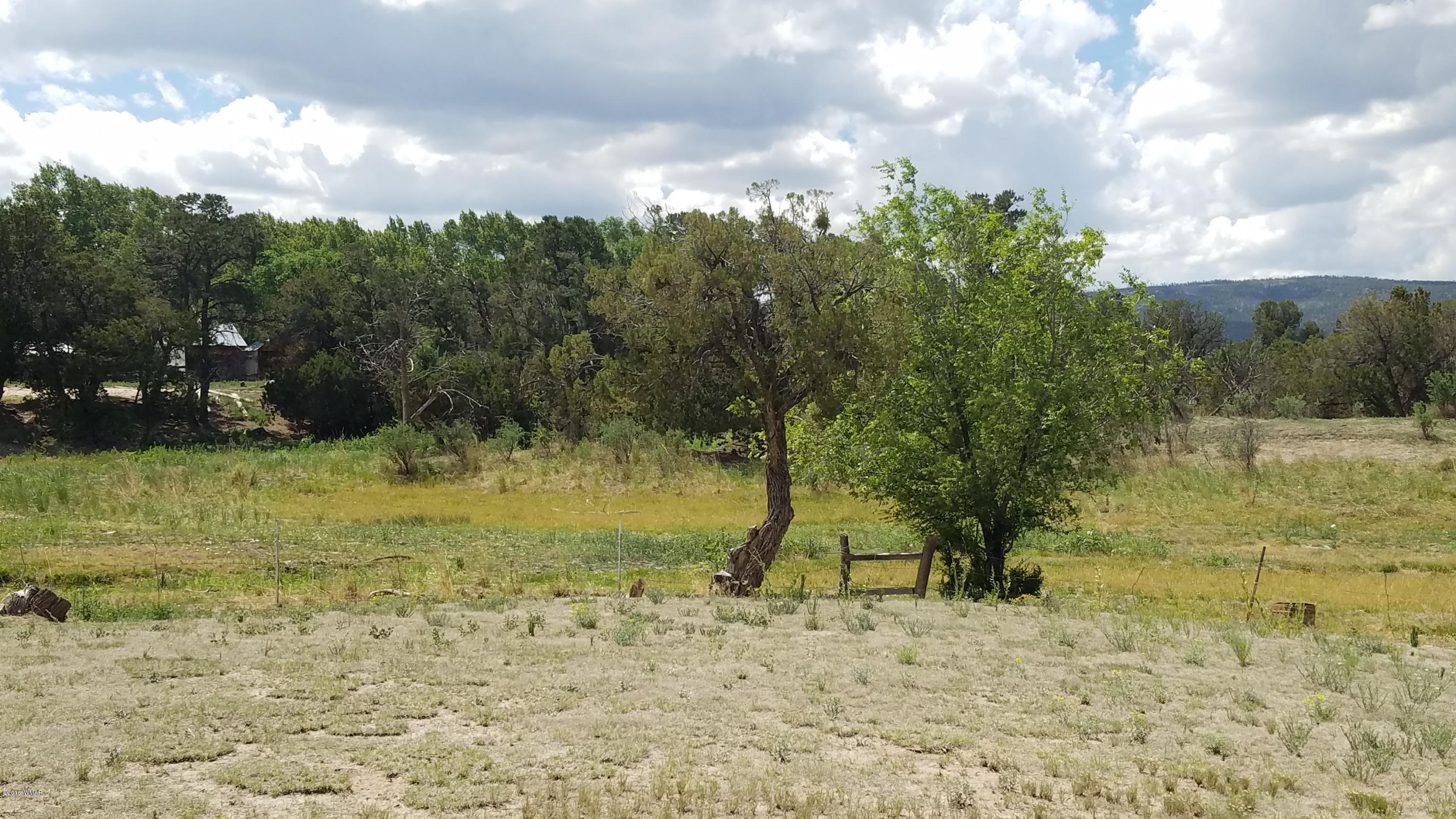 735 West School Bus Road Eagar, AZ 85925 - Photo 43 of 52 Gallery Image 43