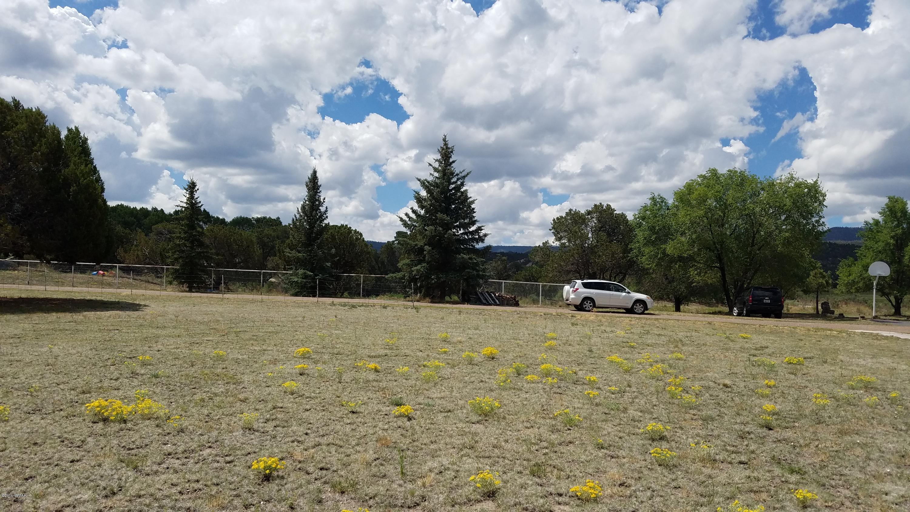 735 West School Bus Road Eagar, AZ 85925 - Photo 50 of 52 Gallery Image 50