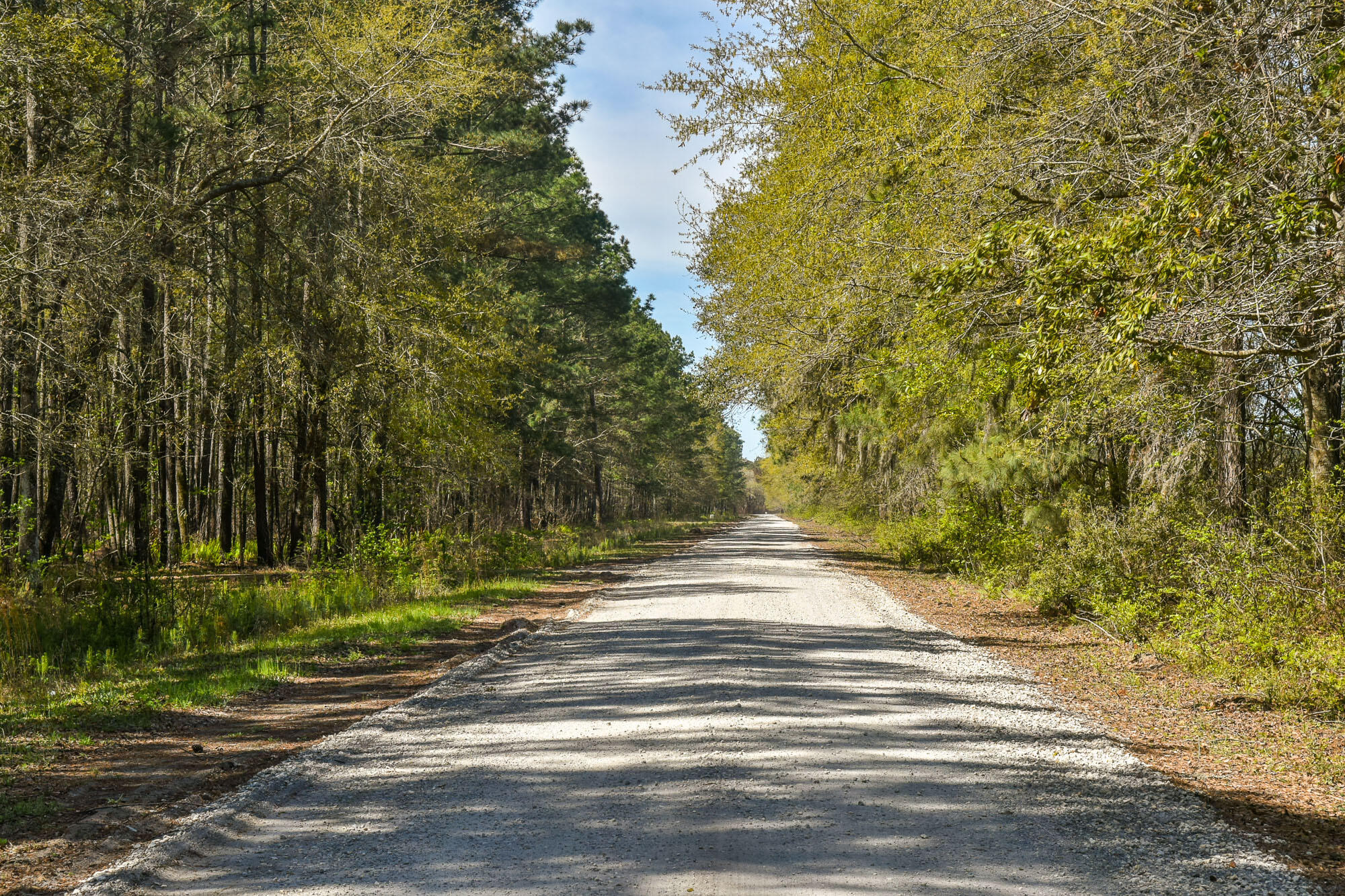 4855 Retriever Road Wadmalaw Island, SC 29487 - Photo 65 of 68 DSC_1104-2