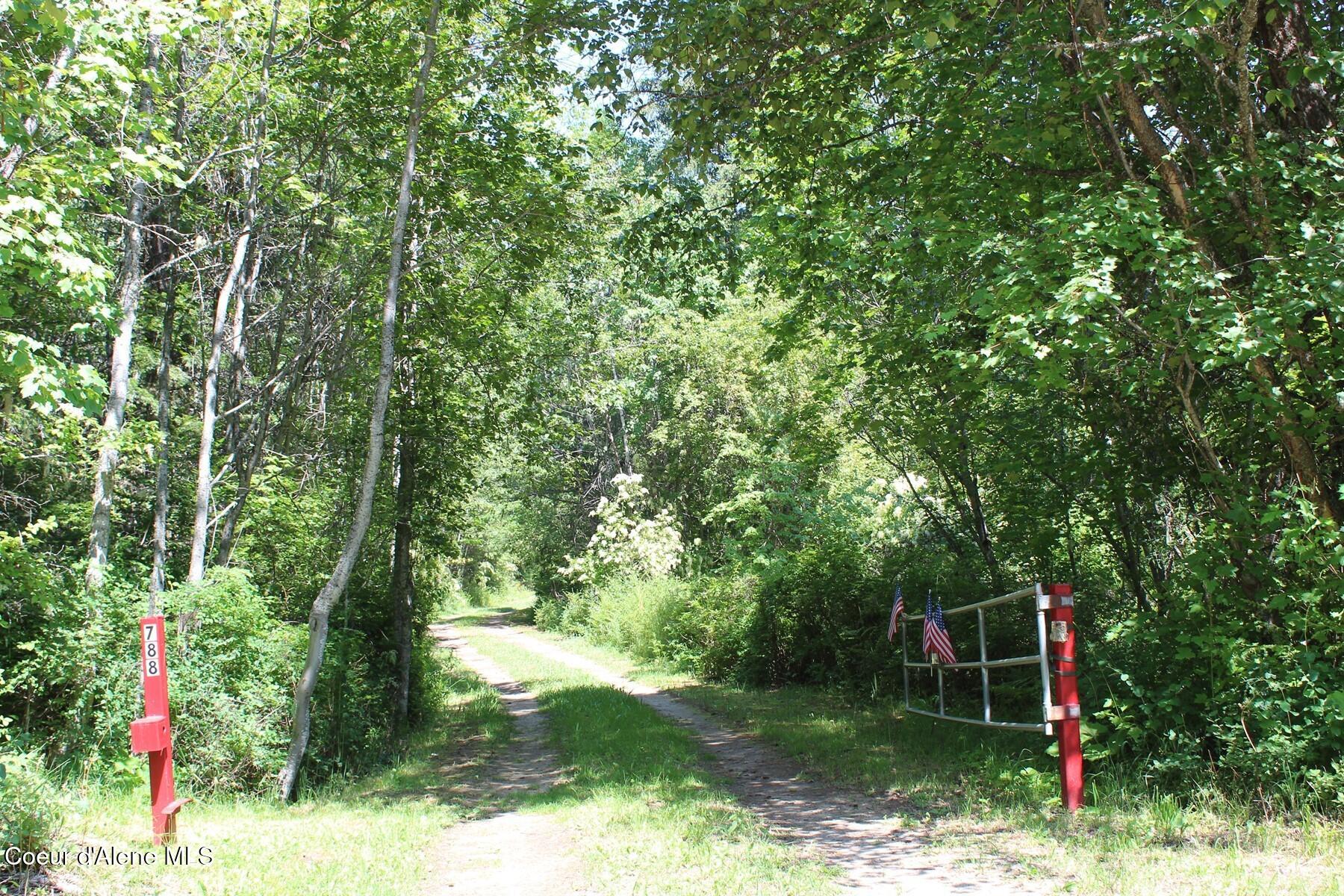 788 Gold Cup Mountain Road Laclede, ID 83841 - Photo 5 of 64 Private Drive Way