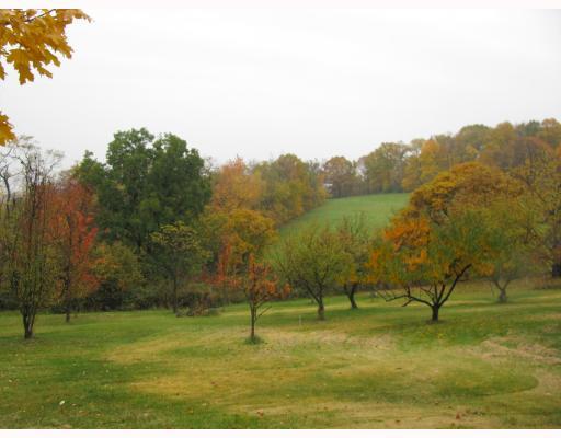 1148 Eldersville Road Burgettstown, PA 15021 - Photo 3 of 11 Land/Lot. 1.6 acres, fruit trees, blackberry bushes