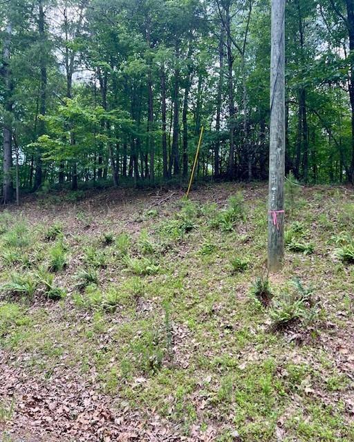 133 Adair Drive Ranger, GA 30734 - Photo 3 of 13 a view of outdoor space and garden