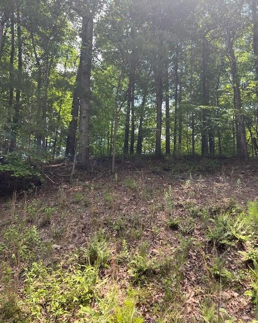 133 Adair Drive Ranger, GA 30734 - Photo 4 of 13 a view of a yard with plants and trees