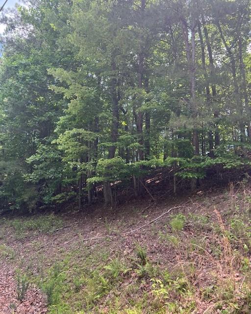 133 Adair Drive Ranger, GA 30734 - Photo 5 of 13 a view of a backyard