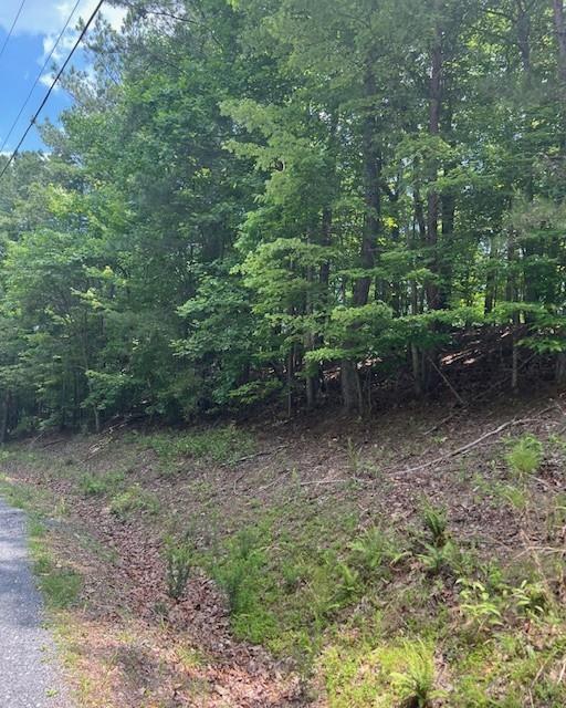 133 Adair Drive Ranger, GA 30734 - Photo 6 of 13 a view of a yard