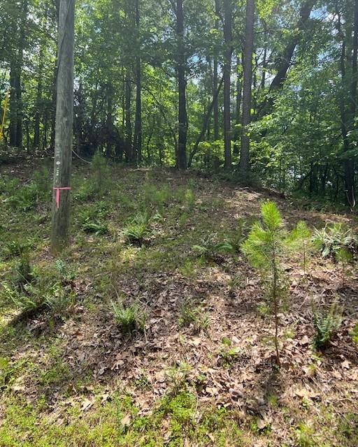 133 Adair Drive Ranger, GA 30734 - Photo 7 of 13 a big yard with lots of green space and trees