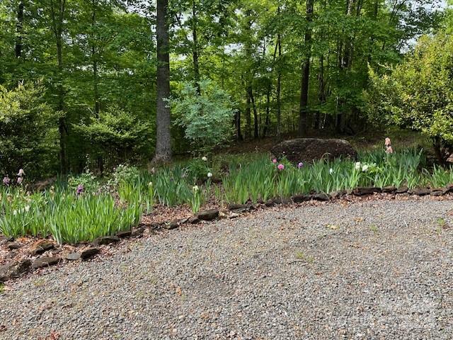 137 Amy Ridge Road Lake Lure, NC 28746 - Photo 11 of 21