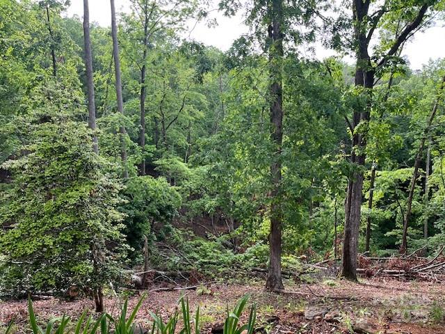 137 Amy Ridge Road Lake Lure, NC 28746 - Photo 10 of 21