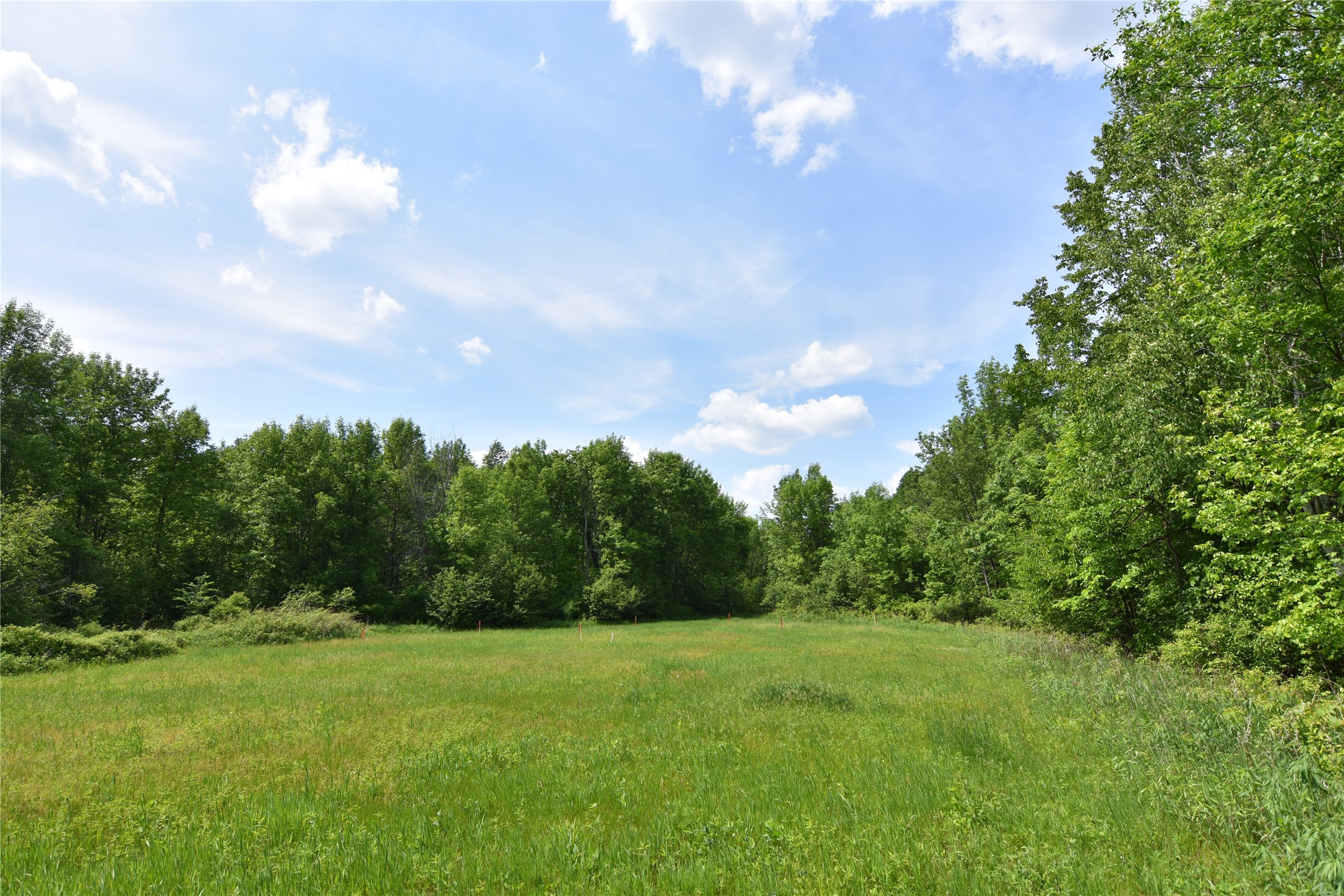 N399 Riverside Drive Holcombe, WI 54745 - Photo 18 of 20