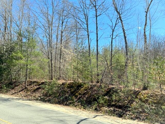 Lot 15 Lovell Road Harrison, ME 04040 - Photo 8 of 14 Wooded
