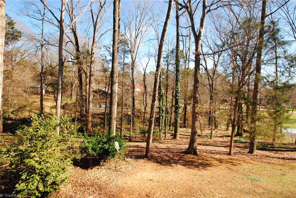 640 Drumheller Road Clemmons, NC 27012 - Photo 15 of 16 Yard