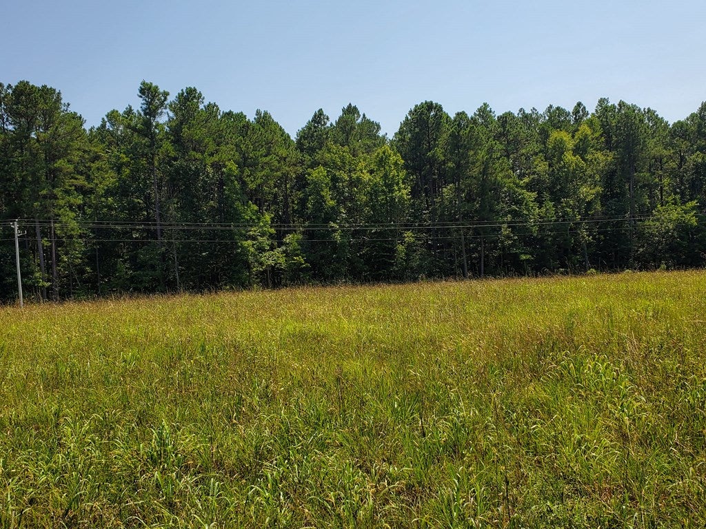 610 Wills Road, Unit 2 Blackstone, VA 23824 - Photo 2 of 23 Gallery Image 2