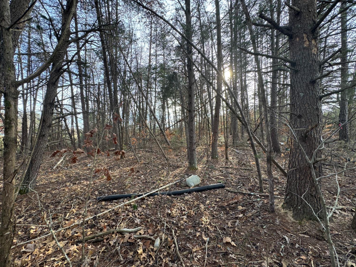 0 Watt Abbitt Road Appomattox, VA 24522 - Photo 4 of 10