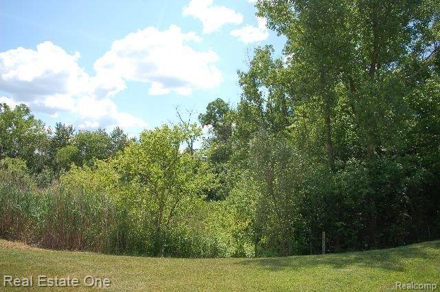 3812 Winding Brk Circle, Unit 9 Rochester, MI 48309 - Photo 18 of 19 YARD