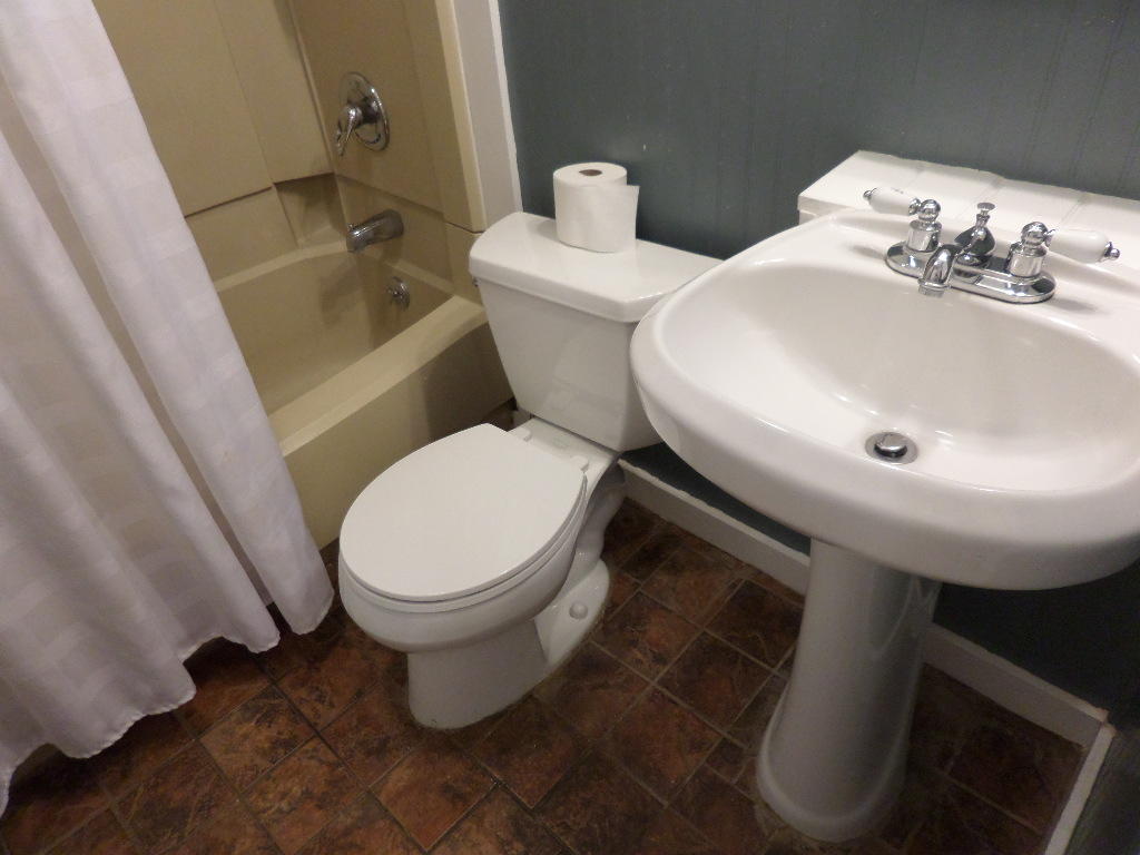 132 Euclid Circle Oak Ridge, TN 37830 - Photo 15 of 24 Bathroom