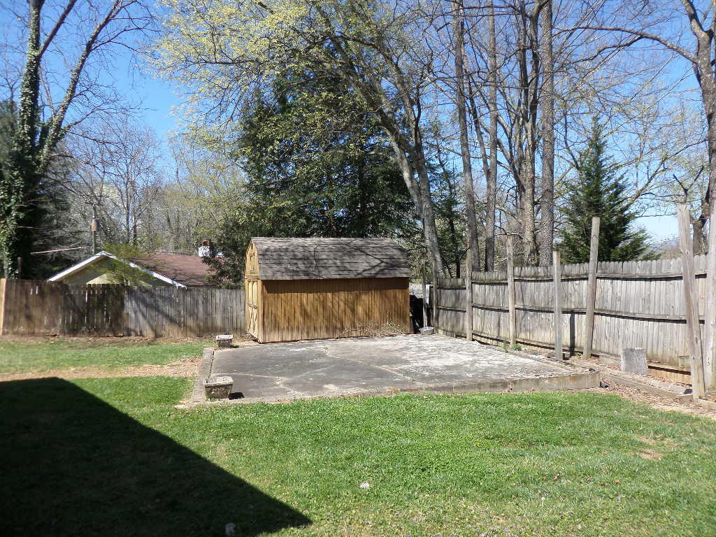 132 Euclid Circle Oak Ridge, TN 37830 - Photo 18 of 24 Back yard with shed