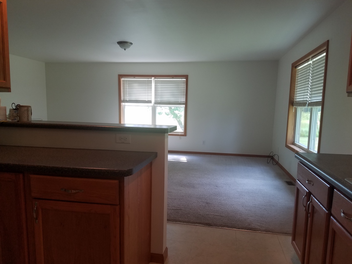 420 North 20th Road Tonica, IL 61370 - Photo 5 of 16
