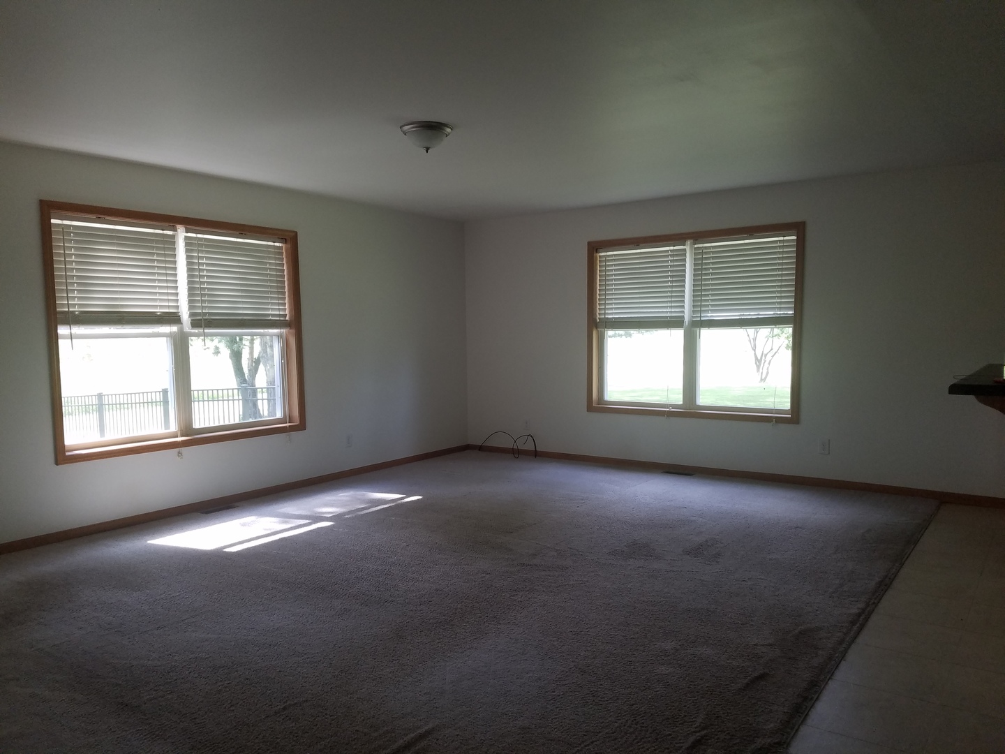 420 North 20th Road Tonica, IL 61370 - Photo 6 of 16