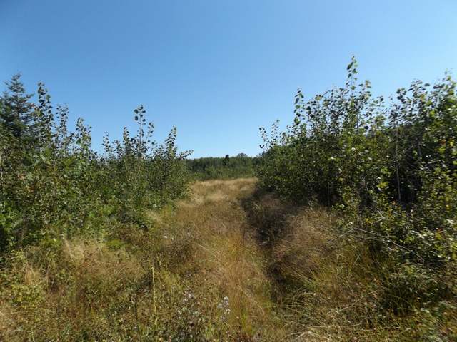10-ac Star Lake Road Crandon, WI 54520 - Photo 15 of 19 Gallery Image 15