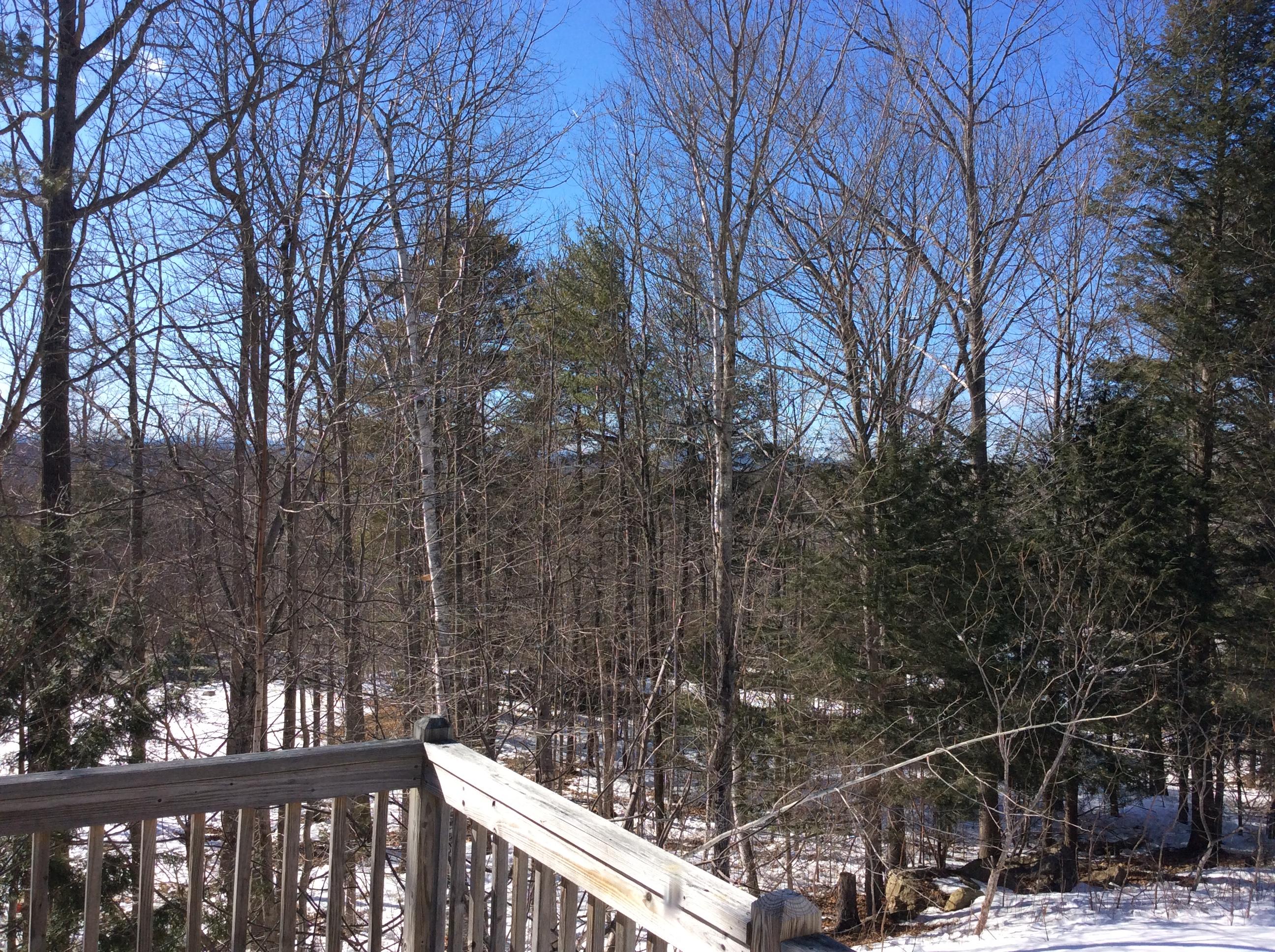 52 Twitchell Road South Paris, ME 04281 - Photo 23 of 49 IMG_1940