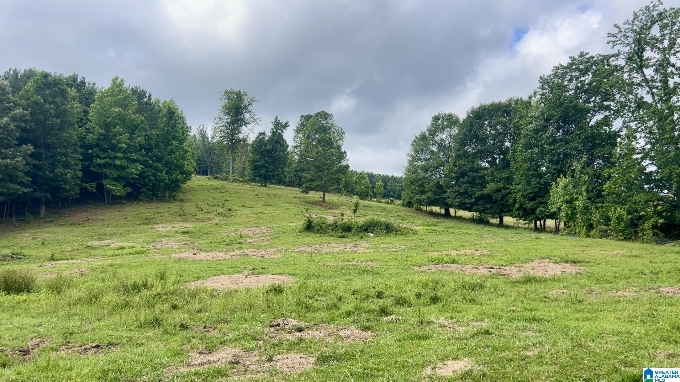 988 Mines Road, Unit 100 Ashland, AL 36251 - Photo 1 of 17