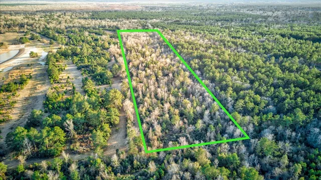 a view of a city with lush green forest