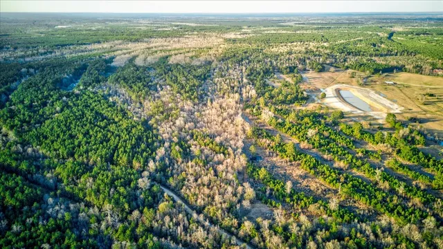 a view of a green field with lots of bushes