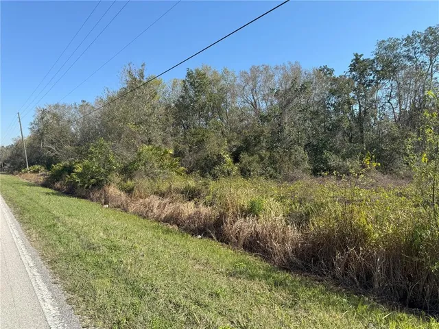 a view of a yard with trees in the background