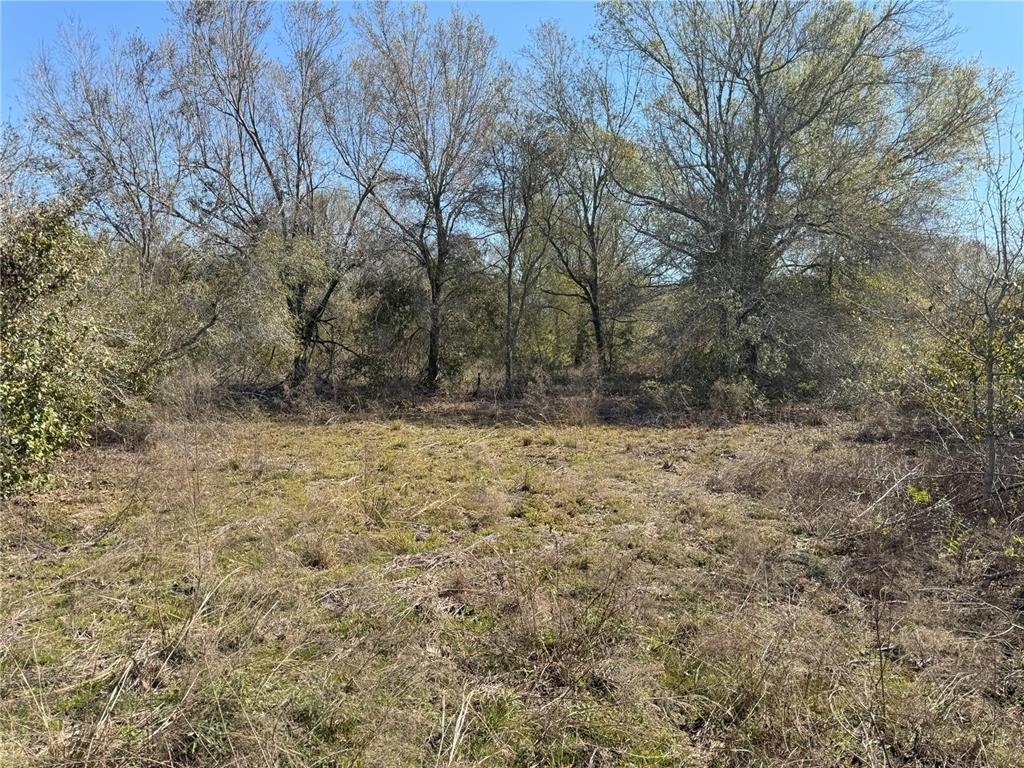 0 Lake Buffum Road Lake Wales, FL 33859 - Photo 15 of 21 a view of open space with green space