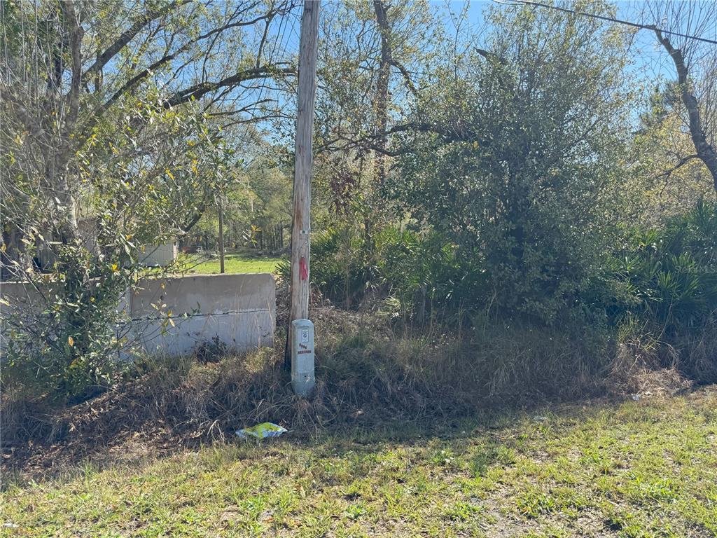 0 Lake Buffum Road Lake Wales, FL 33859 - Photo 20 of 21 a view of a yard