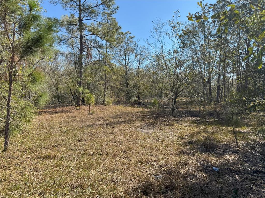 0 Lake Buffum Road Lake Wales, FL 33859 - Photo 8 of 21 a view of outdoor space and yard