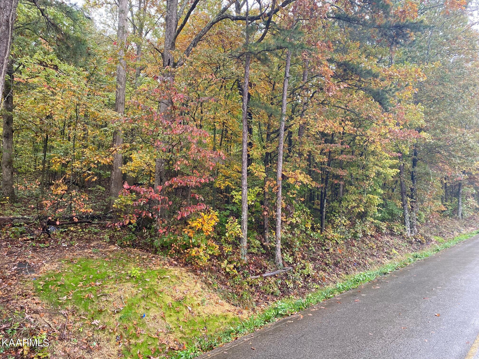 Davis Ferry Lot 6